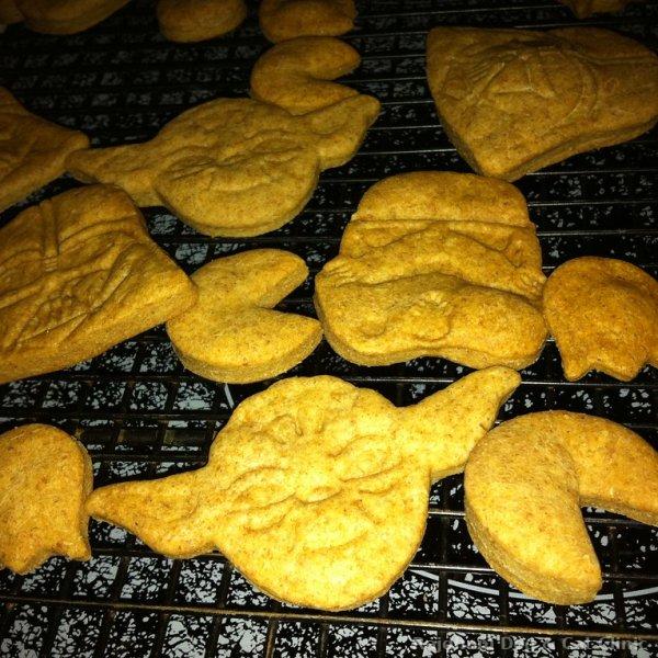 Treats & Chews