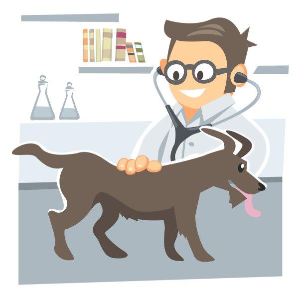 Dog Health & Medicine