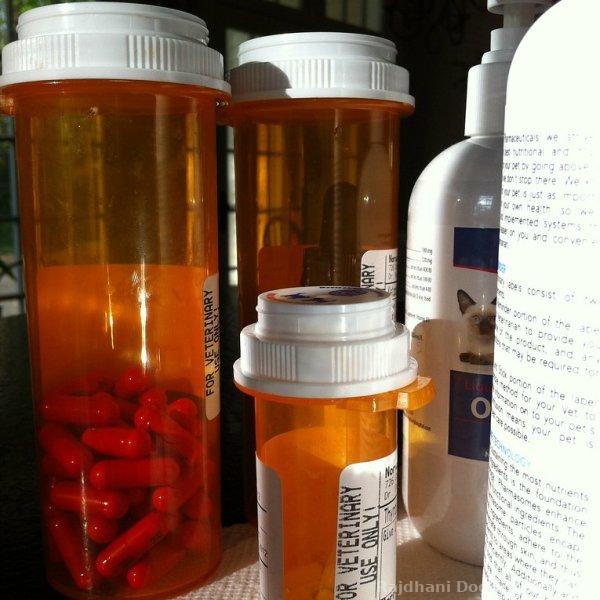 Dewormers & Flea Control
