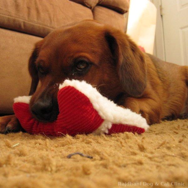 Plush Toys