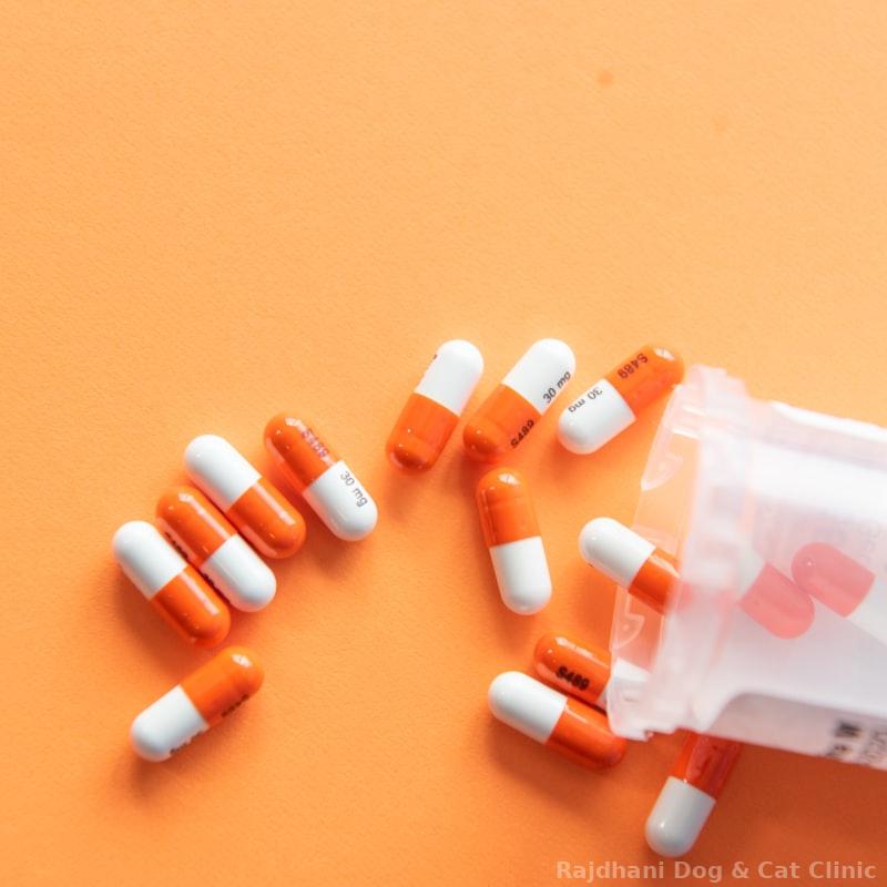 Amoxicillin 250mg (Vet)